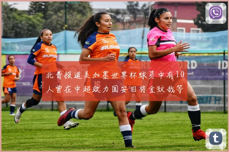 北青报道美加墨世界杯球员中有10人曾在中超效力国安旧将金玟哉等三人入选